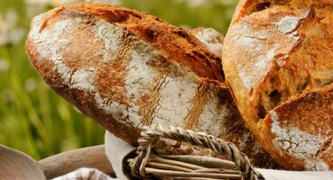 Хлеб – является одним из самых древних продуктов