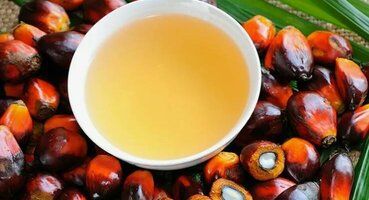 Вред пальмового масла