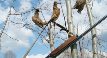 Весенняя охота на вальдшнепа на тяге 2017